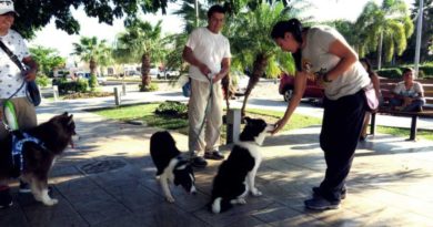 MULTARÁN EN BENITO JUÁREZ A QUIEN NO CENSE SU MASCOTA.